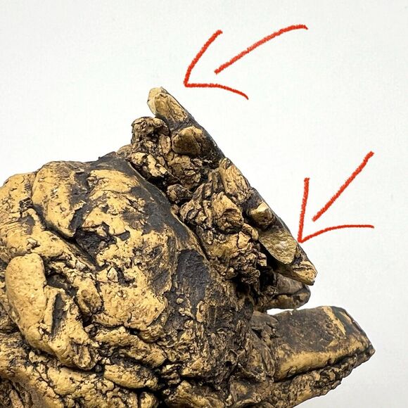 Vintage Sparrow Pine Cone Ceramic Figurine 3” Bird Sculpture “Small Chips” - Picture 10 of 12